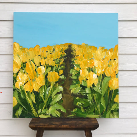 yellow tulips