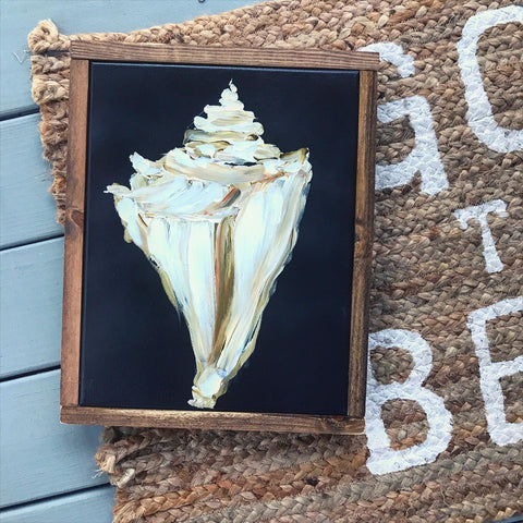 seashell