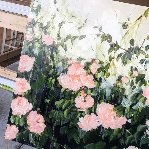 HUGE rose garden 48 x 144