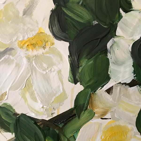 Magnolia