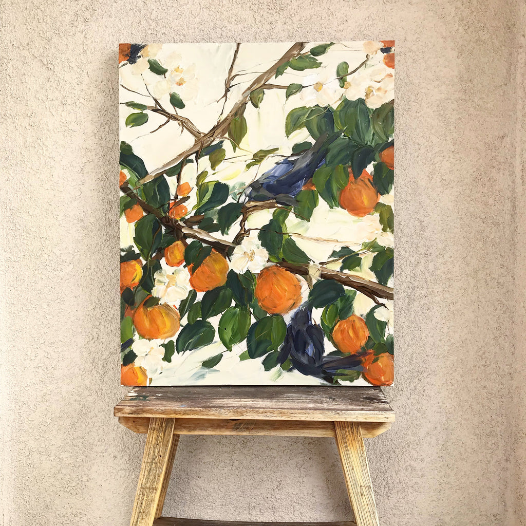Birds and oranges