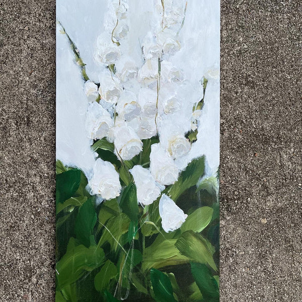 foxgloves 1