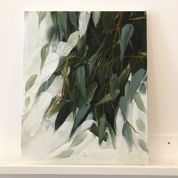 Willow eucalyptus