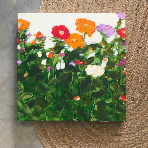 Zinnias