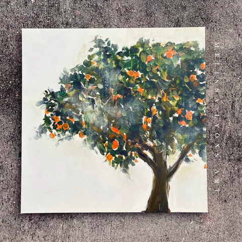 orange tree