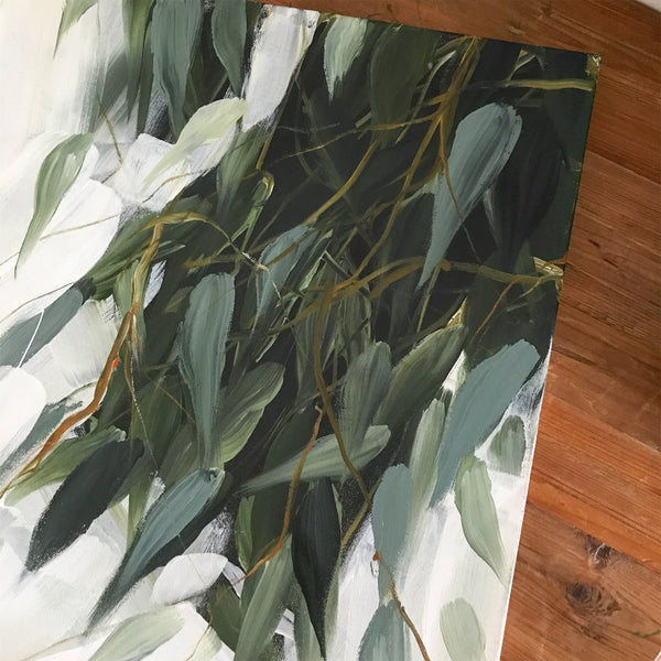 Willow eucalyptus