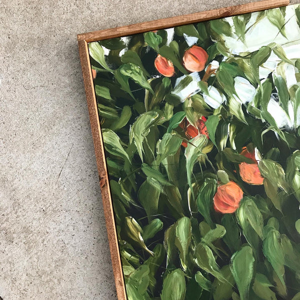 peach tree