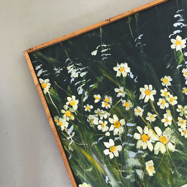 daisy field