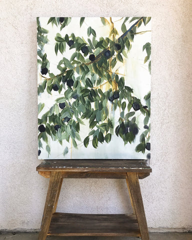 Olive Tree