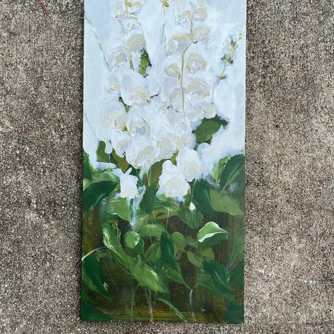 foxgloves 2