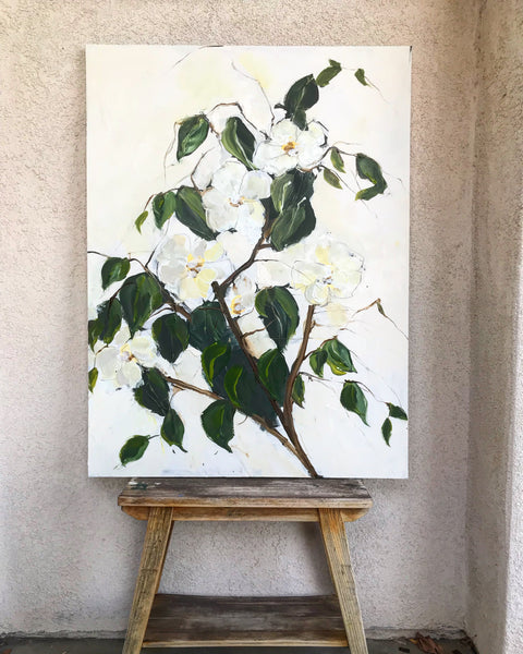 Magnolia