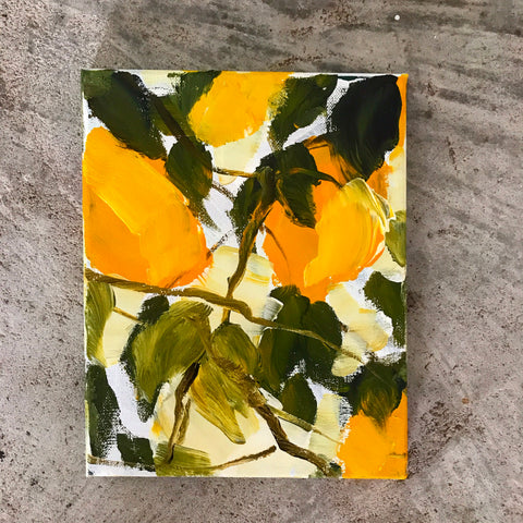 Lemons 6
