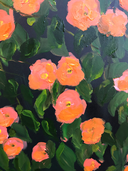 Camellias