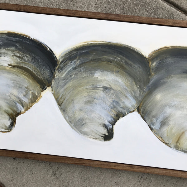 clam shells