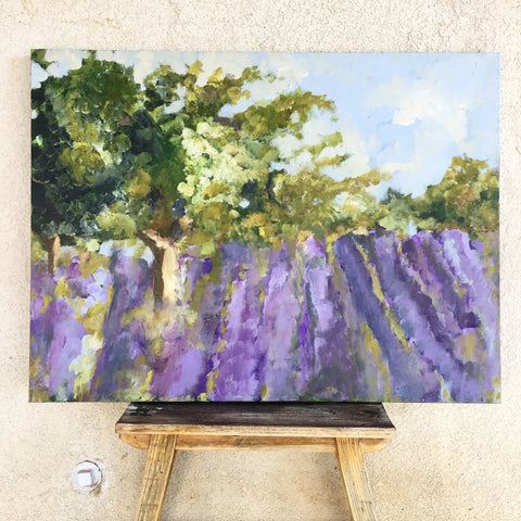 Lavender fields in France