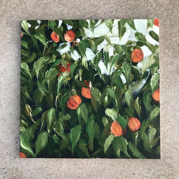 peach tree