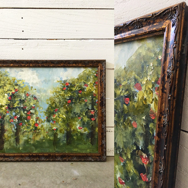 Apple tree orchard