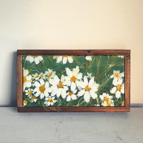 daisies