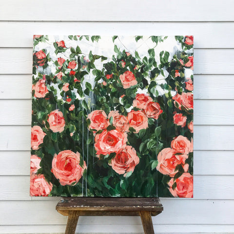 Garden roses