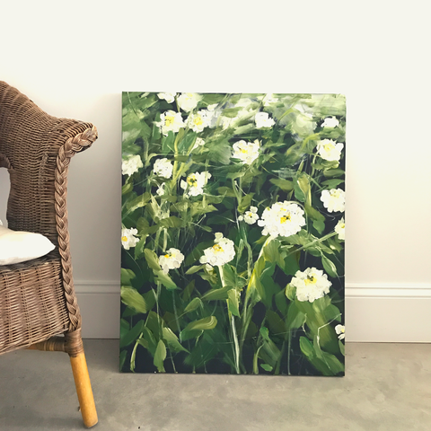 Zinnias