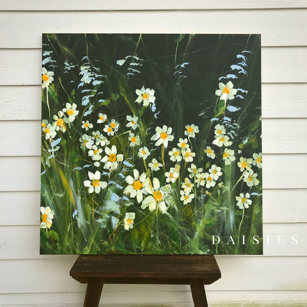 daisy field