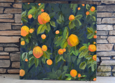 orange tree