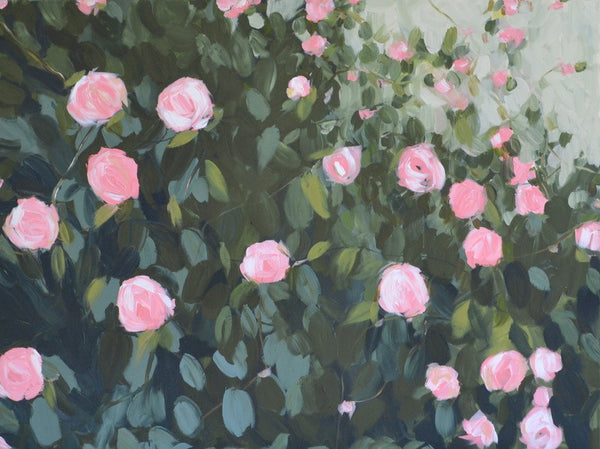 Rose Bush