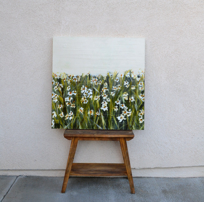 Daisy Field