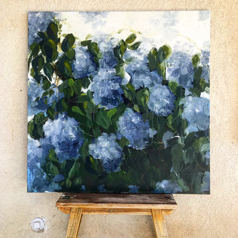 Blue hydrangeas