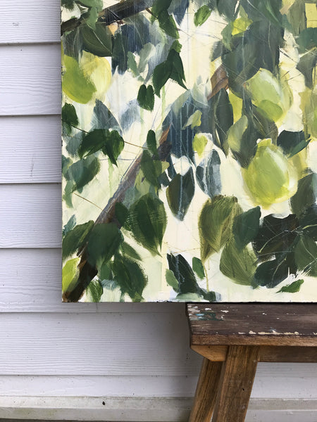 Pear tree