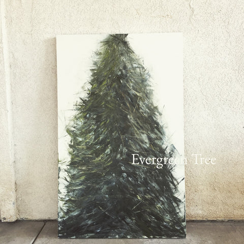 Large Evergreen Tree