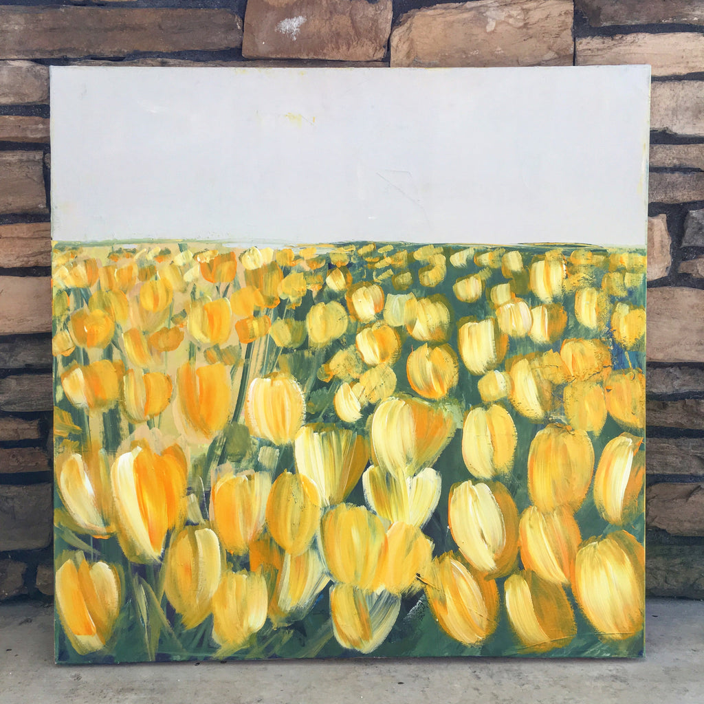 yellow tulip field