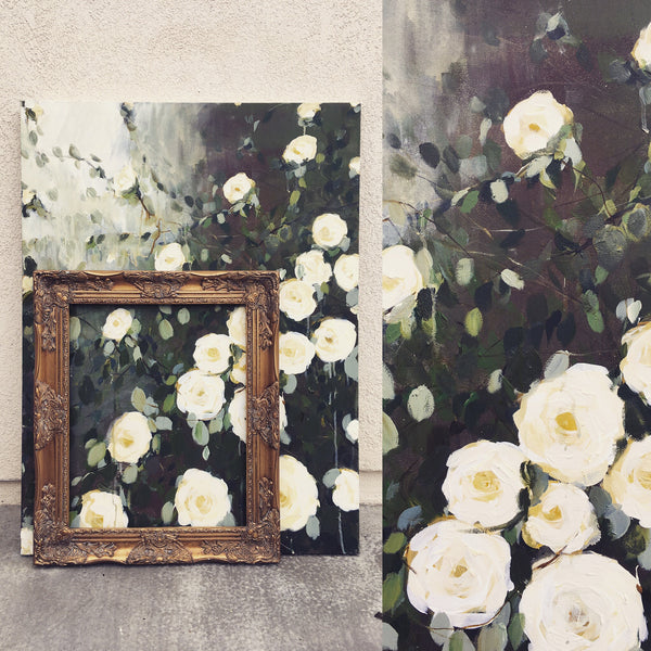 Garden roses