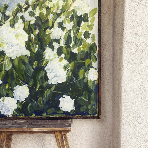 Hydrangea bush