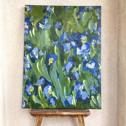 blue Iris