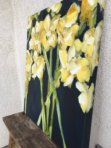 daffodils