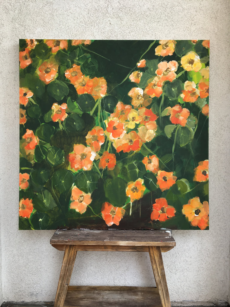 nasturtium