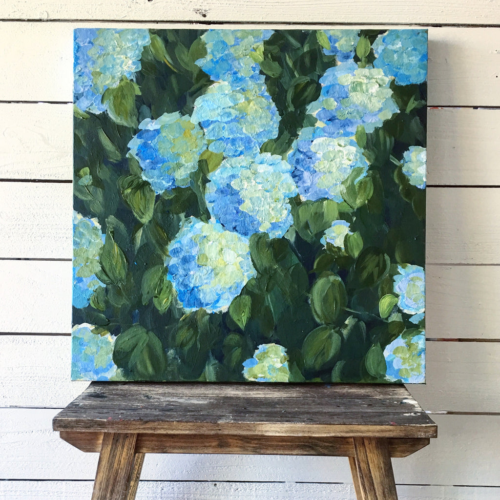 Blue hydrangeas