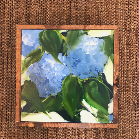 blue hydrangeas