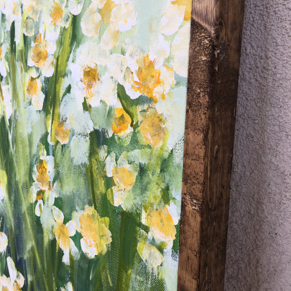 Daisies