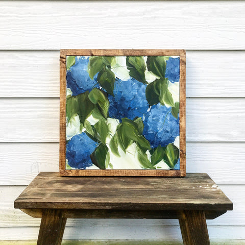 blue hydrangea