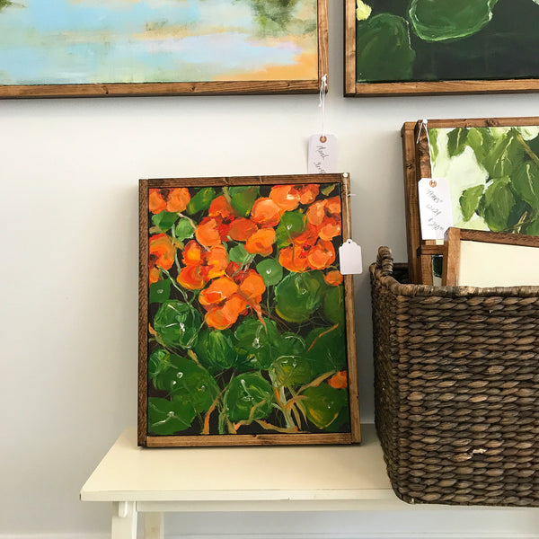 nasturtium