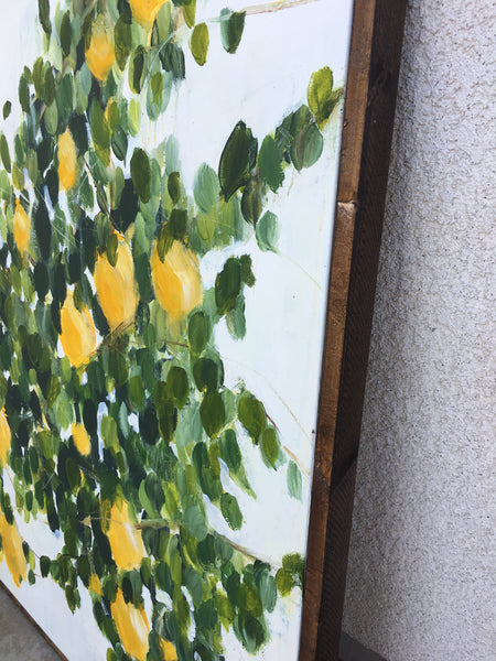 Lemon tree branch