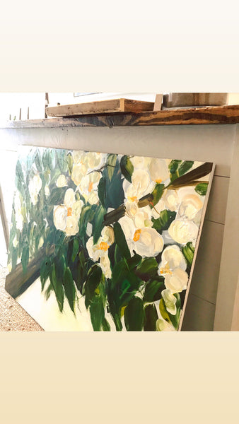 Magnolia