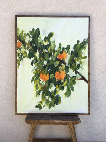 Orange Tree Branch