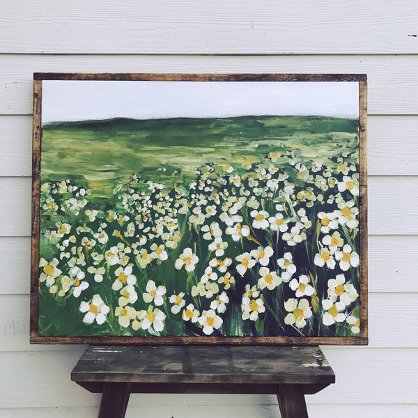 Chamomile Field