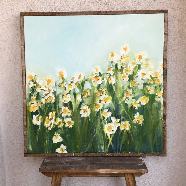 Daisies