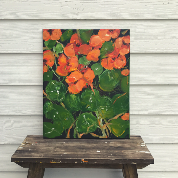 nasturtium