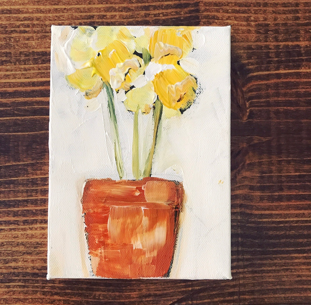 potted daffodils