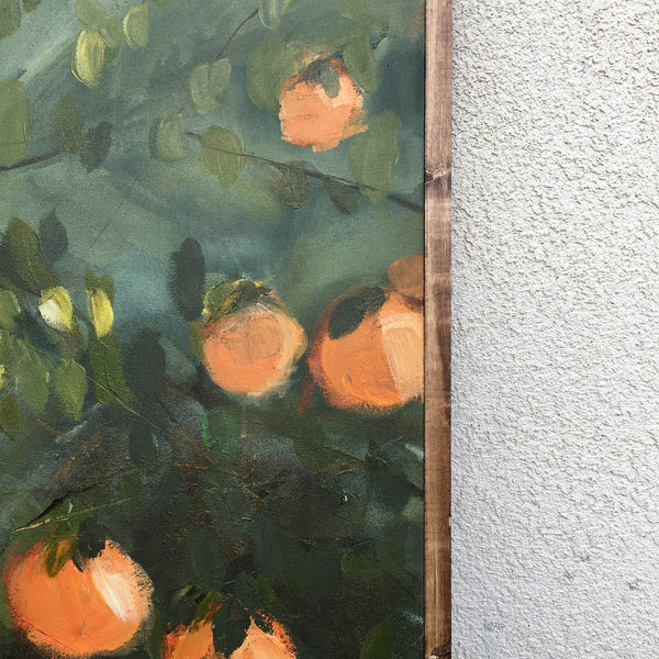 Orange tree